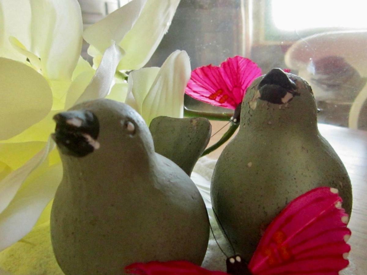 Les 5 Petits Lapins Bed and Breakfast Bar Buitenkant foto